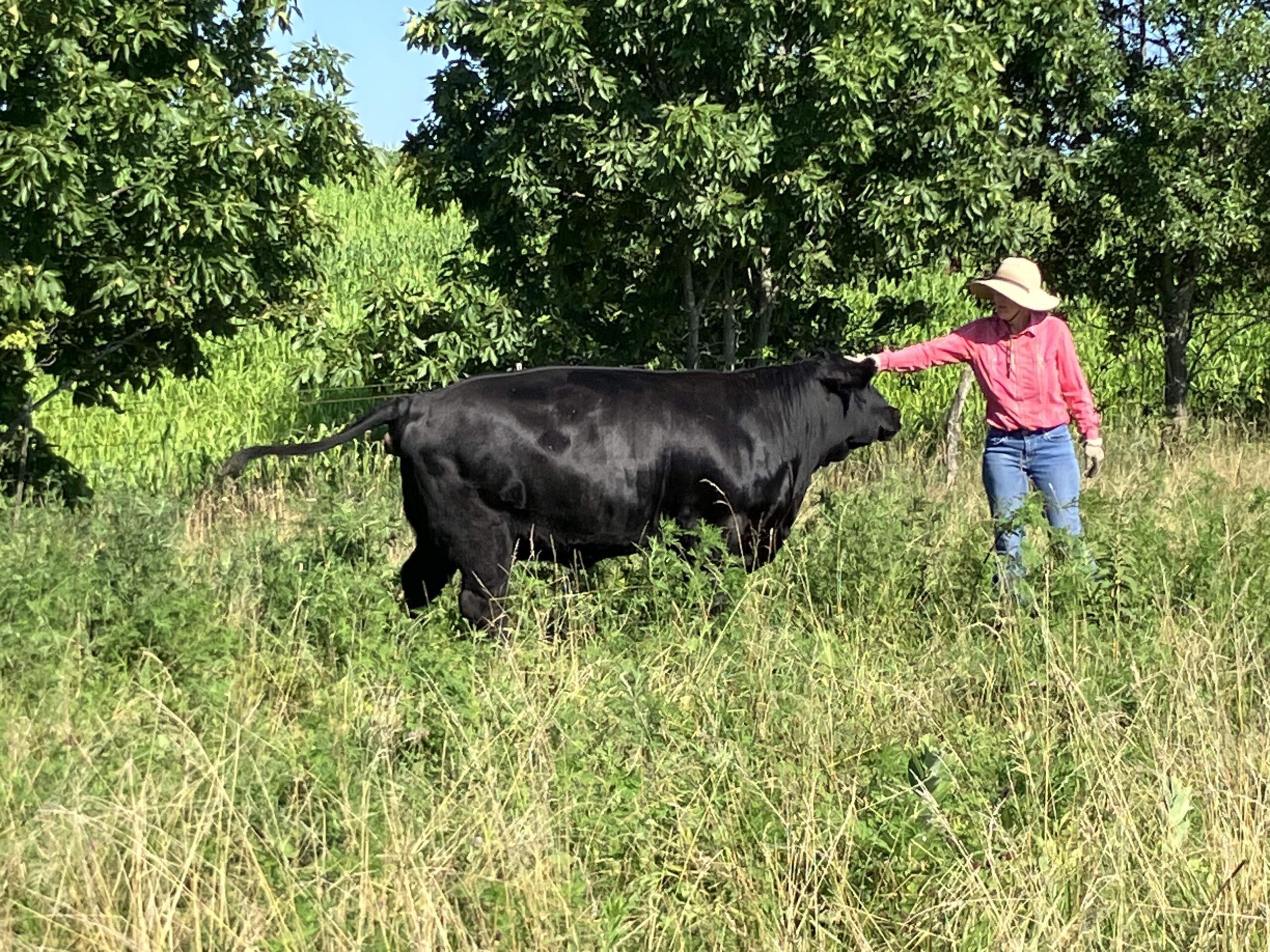 All Natural Food and Family Farming